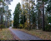 Hostfarger_i_Rabyskogen_Vasteras_2020-11-02_-11