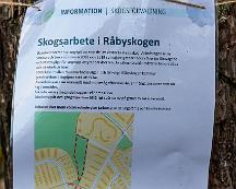 Skogsarbete_Rabyskogen_Vasteras_2020-11-02