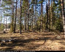 Naturen_Satraskogen_Vasteras_2021-02-28_-2