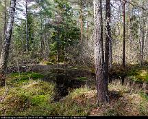 Sankmark_Vedboskogen_Vasteras_2018-05-06a