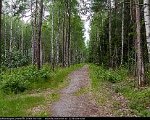 Naturen_Vedboskogen_Vasteras_2018-06-16b