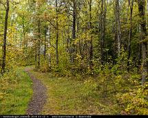 Hostfarger_i_Vedsboskogen_Vasteras_2019-10-12_-4