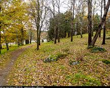 Gravfalt_Fruns_backe_Veddesta_2014-10-24c