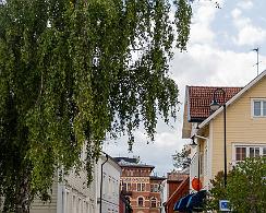 Rogardsgatan_Norrtalje_2019-08-07