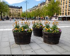 Jarntorget_Orebro_2020-05-07a