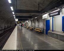 Nackrosen_T-station_Solna_2012-08-21g