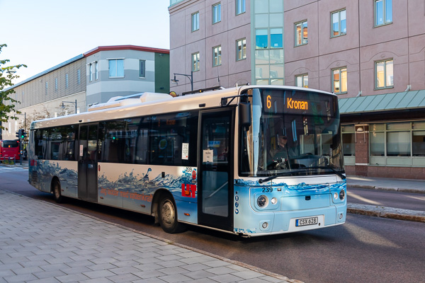 Elbuss i Luleå